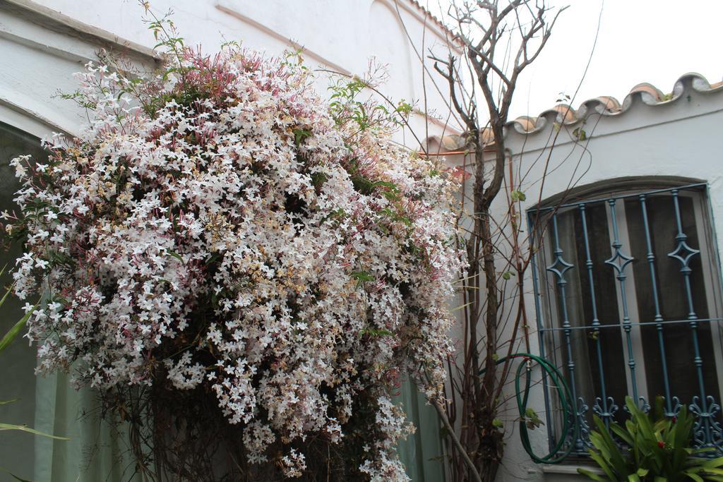 Casa Colonia Villa La Línea de la Concepción Exteriör bild